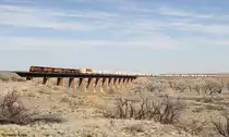 5 BNSF Loks mit Containerzug am 29.03.2015 bei Fort Sumner, New Mexico.