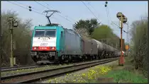 Frühling an der Montzenroute unweit von Aachen.Hier ist gerade die belgische Cobra
(E-186) mit ihren gemischten Güterzug unterwegs hinauf zum Gemmenicher Tunnel.Bildlich erfasst am 19.April 2015.