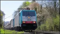 2 belgische Cobras aus Belgien kommend,rollen mit ihren Kalkzug die Gemmenicher Rampe herunter nach Aachen West. Bildlich festgehalten am 19.April 2015.