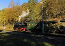 Pünktlich auf die Minute ist 99 6001 am 19.10.2014 gerade im Haltepunkt Mägdesprung eingefahren. Hier steht die erst Rangieraufgabe an. Die drei am Zug befindlichen Güterwagen werden auf dem Abstellgleis hinterstellt, um später von 99 5906, welche ihre Güterwagen mit dem anderen Sonderzug im Bahnhof Harzgerode abgestellt hat, wieder abgeholt zu werden. Danach wird sie wieder nach Alexisbad zurückfahren, um ihren Zug mit dem von 99 6001, welcher dann bereits die abgestellten Wagen aus Harzgerode abgeholt hat, zu vereinigen.