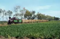  Nr. 4  Pagottan  04.10.80