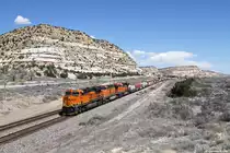 BNSF 8064 mit Containerzug am 31.03.2015 bei Lupton.