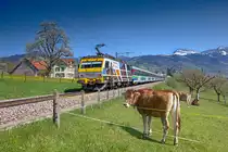 Re 456 093 Rhomberg Sersa fährt mit dem VAE bei Uznach vorbei.Bild vom 21.4.2015