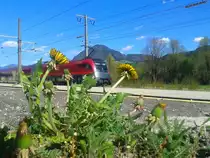 Seit in Greifenburg-Weißensee der Holzverlad vor Jahren eingestellt wurde, wird es auf Laderampe auch immer grüner. (21.4.2015)