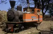 Nr. 6  Pagottan  19.08.95