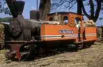 Nr. 6  Pagottan  19.08.95