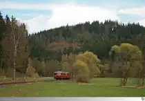 Die ersten Knospen fangen an zu spriesen als am 26. April 2015 der Triebzug (798 731-6 mit 998 744-7) der Eisenbahnfreunde Rodachtalbahn unterwegs ist.