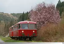Am 26. April 2015 ist 798 731-6 mit 998 744-7 der Eisenbahnfreunde Rodachtalbahn in Steinwiesen unterwegs. Erst Frühlingsblüten säumen den Weg.
