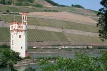 Der Bingener M�useturm und 2 VIAS-ET als SE 25072 (Wiesbaden Hbf–Kaub) am 22.05.2012