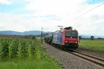 482 005-6 mit dem 49018 auf dem Weg von Basel SBB Rbf nach Kork am Mittag des 08.08.15 bei Kollmarsreute.
