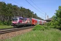 1116.180  ESC  fährt mit R-2333 beim ehemaligen Bahnwärterhaus auf der Neunkirchner-Allee zwischen Wr.Neustadt und St.Egyden am 11.5.15