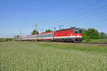 Bei herrlichsten Wetter fährt 1144.247 mit D-459 auf der Neunkirchner-Allee bei Wr.Neustadt am 11.5.15