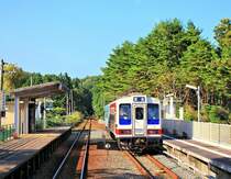 Die Sanriku-Bahn: Zwei ältere Triebwagen, vorn Nr. 209 von 1984/85 in Noda Tamagawa, 27.September 2014. Einige dieser Triebwagen wurden an Myanmar verschenkt. 
