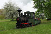 Das Feldbahnmuseum Nürnberg zieht mit der 500 mm Feldbahndampflok beim 1. Märkischen Feldbahnfest am 10.05.2015 im Ziegeleipark Mildenberg ihre Runden.
Die Maschine wurde 1908 unter der Fabriknummer 5745 bei Krauss gebaut.
Weitere Daten: Type 14ah, Bauart Bt, Leistung 20 PS

