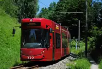 Tw.320 auf der Steilstrecke zwischen Engelhof und Gmunden Seebahnhof. (05.06.2015 ) 