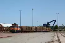 Lok 1 des Rostocker Fracht- und Fischereihafens rangiert am 07.06.2015 mit ihrem Holzzug während der Beladung im Hafen. Durch den Zaun fotografiert. 