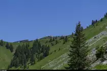 Am Mittag des 6. Juni 2015 fahren die Bhe 4/8 302 und 303 bei La Perche in Richtung Rochers de Naye.