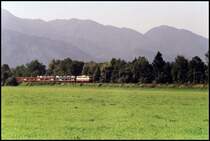 �berraschend f�hrt die 113 311 einen Autoreisezug aus �sterreich richtung Rosenheim/M�nchen. Aufgenommen im Sommer 2003 zwischen Kiefersfelden und Oberaudorf.