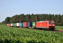 185 006 mit KT 50098 (Basel Bad Rbf–Maschen Rbf) am 06.07.2013 zwischen Jesteburg und Maschen Rbf