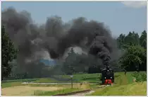 764.411R mit einem Fotogüterzug am 26.6.2015 zwischen den Haltestellen Neudorf und Herbersdorf.