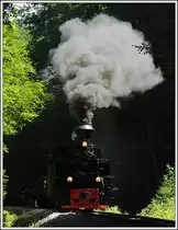 764.411R mit einem Fotogüterzug am 26.6.2015 im Wald zw. Preding und Kraubath.