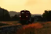 Nach der Ölmühle taucht die Sonne den Güterzug und das Gras in goldenes Licht. 26.06.2015 MK48.209 mit einem Holzzug.