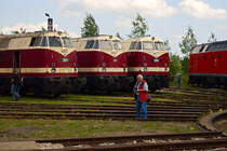 MEG201 , MEG203 und MEG205 24.05.2008 BW Weimar.