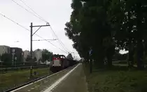 6511 von DB Schenker kommt mit einem langen Schrottleerzug aus Genk-Goederen(B) nach Köln-Gremberg(D) und fährt durch Geleen-Lutterade und fährt in Richtung Sittard(NL). Aufgenommen in Geleen-Lutterade(NL).
Bei Regenwetter am 14.7.2015.