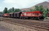 DE21 502 + DE21 526  Irmak  07.06.92