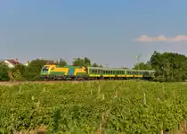 470 502 mit einem D nach Sopron am 26.07.2013 bei Kópháza.