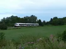 Warmschießen für's Bahnbildertreffen. Ich gönne mir damit verbunden den Luxus eines verlängerten Wochenendes und nutzte den Ankunftstag gleich noch für die Suche nach einer Fotostelle. Hier rauscht gerade der Seehas nach Engen über eine Lichtung. 31.7.2015, Singen (Hohentwiel)