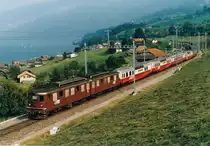 BLS: Sonderzug bei Spiez im Juni 1988 mit der Ae 8/8 274 (271-275, 1959-1966). 
Foto: Walter Ruetsch