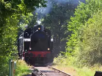 Mit Dampf in den Hochwald! Jedes erste Wochenende im August findet in Losheim am See das große Bahnhofsfest mit Bahnpostausstellung statt. Im Jahr 2015 wurde noch mehr geboten. Damplokfahrten in Doppeltraktion oder im Sandwich. Lok 26 hat leider Fristablauf, so wird sie einige Zeit nicht zwischen Merzig - Ost und Dellborner Mühle zu sehen sein! Hightlight war eine Fotosonderfahrt mit der Diesellok 51 des MECL.
Lok 34 von Henschel (ex Saarbergwerke) führt hier den Dampfzug (GmP) Losheim - Dellborner Mühle an. Gleich wird der ehemalige Bahnhof Niederlosheim erreicht. Bahnstrecle 9321 Merzig - Büschfeld der ehemaligen MEB (Merzig - Büschfelder Eisenbahn. 01.08.2015

