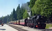 99 7232 muss am 01.07.15 in Schierke die Kreuzung mit einem Personenzug aus Wernigerode abwarten bevor auch sie ihr Fahrt fortsetzen kann.