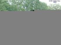 Rangierlok Y 8184 am 22.05.2003 in Lauterbourg / Elsa.