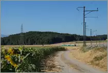 Der BAM Regionalzug 111, der mich nach Reverolle brachte, erreicht bereits Chardonney-Château. 
21. Juni 2015