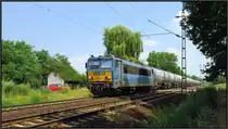 Die 630 025 (V63) der MAV ist mit einen Kesselwagenzug nach Györ unterwegs. Hier zu sehen unweit von Komarom (H) am 06.August 2015. 