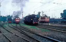 41 1074  Schönebeck  19.08.84