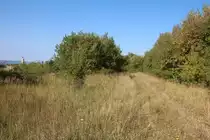 9.8.2015, alte Trasse Wasserleben - Vienenburg, kurz bevor die neue abzweigt. Links km 28.8 der Neubaustrecke nach Stapelburg