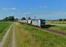 193 811 mit einem Getreidezug am 28.06.2015 bei Wallersdorf. 