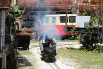 Am Gelände des Eisenbahnmuseums Ljubljana gab es am vergangenem Wochenende viel zu entdecken. Auch diese Gartenbahn mit vielen Dampflokomotiven die durch das viele Alte Eisen dampfte. 15.08.2015