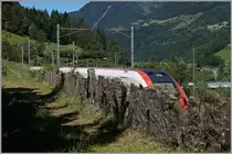 Auf der Gotthard Südrampe begrenzen immer wider Steinplatten die Bahnstrecke, so wie hier oberhalb von Rodi Fiesso zu sehen ist.
24. Juni 2015