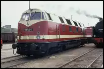 DR Fahrzeugausstellung in Sangerhausen am 22.06.1991: 
118125-4