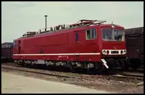 DR Fahrzeugausstellung in Sangerhausen am 22.06.1991:
250003-1