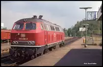 218239 fuhr am 5.6.1991 um 11.02 Uhr durch den Bahnhof Schirnding.