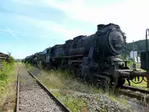 Deutsches Dampflokmuseum Bahnbetriebswerk Tuttlingen, insgesamt besitzt das Privatmuseum 26 Dampfloks, leider alle in einem sehr desolaten Zustand, keine ist betriebsf�hig, Juli 2015