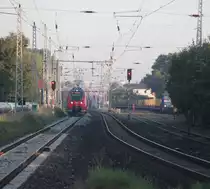 442 849 n�hrte sich mit ihrer S1 von Warnem�nde nach Rostock Hbf gegen 07:15 Uhr den Haltepunkt Rostock-Holbeinplatz w�hrend rechts die 346 020-3 mit dem Holzzug besch�ftigt war.03.09.2015