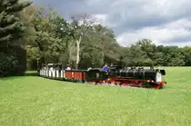 05.09.2015, 03 002, 90 Jahre Martens'sche Liliputlokomotiven im Großen Garten  - Dresden