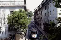 Im April 1984 befährt der Lisssaboner Standardtriebwagen 241 die Ringlinie 25/26, die von Estrela über Martim Moniz und Gomes Freire bzw. umgekehrt führte. Seit dem 18.01.1991 gibt es diese Verbindung nicht mehr.