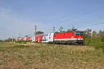 Die im besten Zustand befindliche 1144.265 fährt mit R-2915 bei Theresienfeld nach Payerbach/R. am 18.9.15